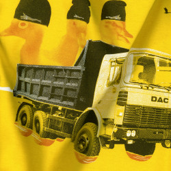The Ducks from the Trucks - tricoul